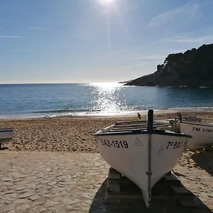 https://hotel-tamariu.catalonia-hotels.com